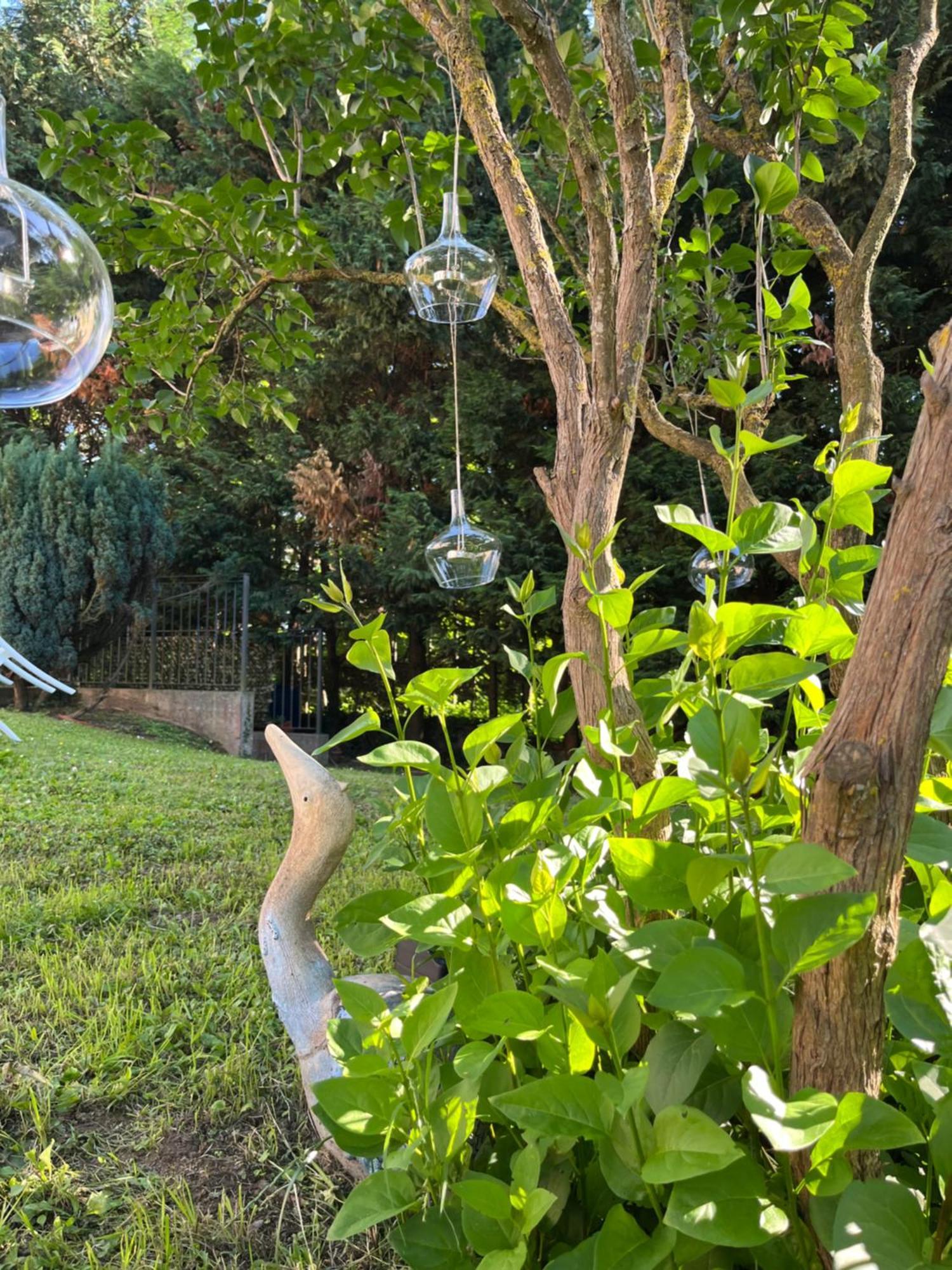 B&B Villa Degli Aceri Carcare Exteriér fotografie